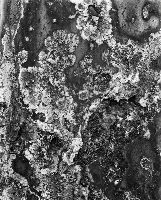 Aged verdigris patina crust on copper
